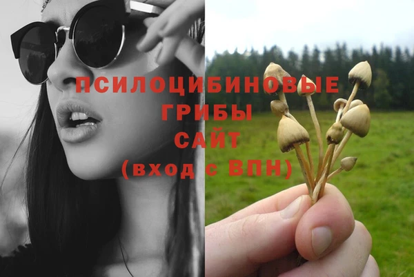 бошки Абдулино