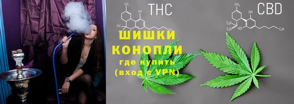 МДПВ Семёнов